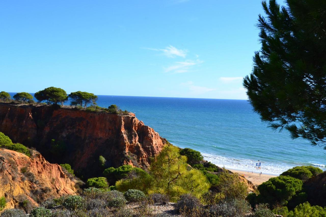 T0 Junto A Praia De Vale Centeanes / Carvoeiro 라고아 외부 사진